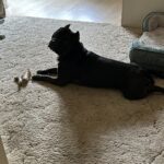 Store – gallery image 2