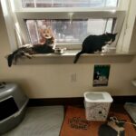 Store – gallery image 4