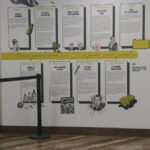 Store – gallery image 4