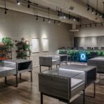 Store – gallery image 2