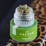 Store – gallery image 2