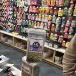 Store – gallery image 4