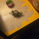 Store – gallery image 4