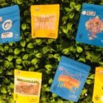 Store – gallery image 5