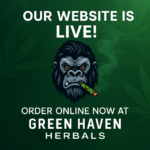 Store – gallery image 2