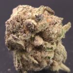 Store – gallery image 4