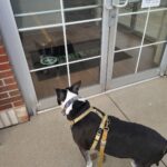 Store – gallery image 2