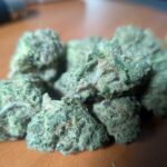 Store – gallery image 4