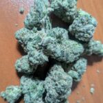 Store – gallery image 5