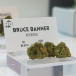 Store – gallery image 3