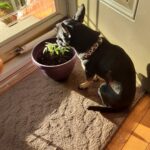 Store – gallery image 3