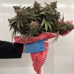 Store – gallery image 5