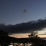 Store – gallery image 2