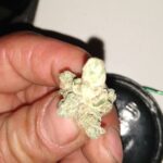 Store – gallery image 3