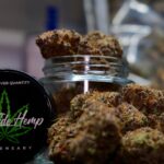 Store – gallery image 3