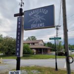 Store – gallery image 2