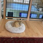 Store – gallery image 5