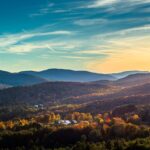 Store – gallery image 2