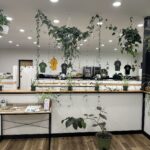 Store – gallery image 4