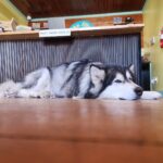 Store – gallery image 2