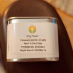 Store – gallery image 2