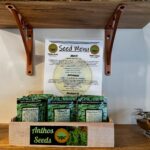 Store – gallery image 4