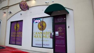 Cannabis Maximus — Brattleboro, VT