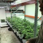 Store – gallery image 5