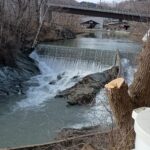 Store – gallery image 1