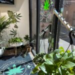 Store – gallery image 3