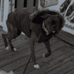 Store – gallery image 3