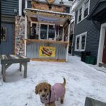 Store – gallery image 3