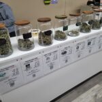 Store – gallery image 4