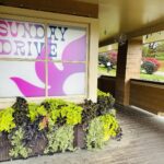 Store – gallery image 1