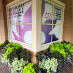 Store – gallery image 4