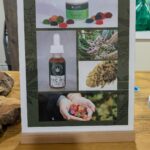 Store – gallery image 4