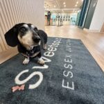 Store – gallery image 4