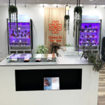 Store – gallery image 4