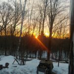 Store – gallery image 3