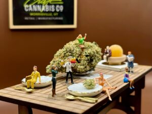 Craft Cannabis Co. — Morristown, VT