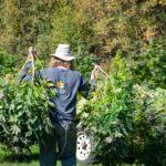 Store – gallery image 4