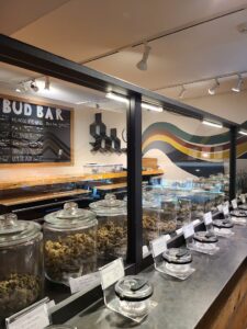 31 North Dispensary — Waterbury, VT