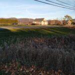 Store – gallery image 2