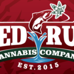 Store – gallery image 5