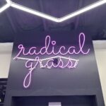 Store – gallery image 4