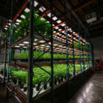 Store – gallery image 2