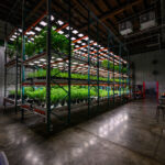 Store – gallery image 3