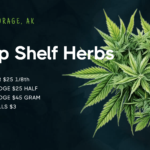 Store – gallery image 3