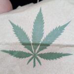 Store – gallery image 4