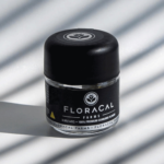 Store – gallery image 4